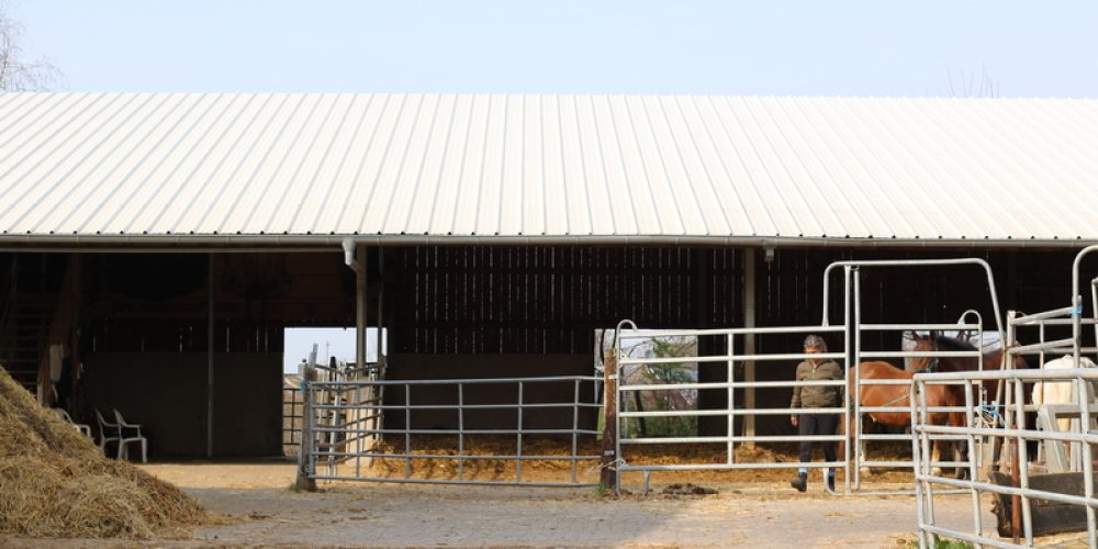 131A1429-Paddock 131A1429-Paddock